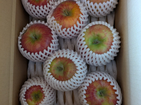 みずみずしい「シナノリップ」（自家用）3㎏