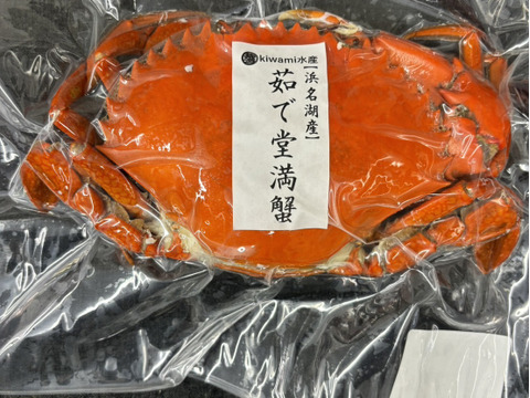 【浜名湖産】茹で堂満蟹(ノコギリガザミ)　中サイズ1杯約400～600ℊ