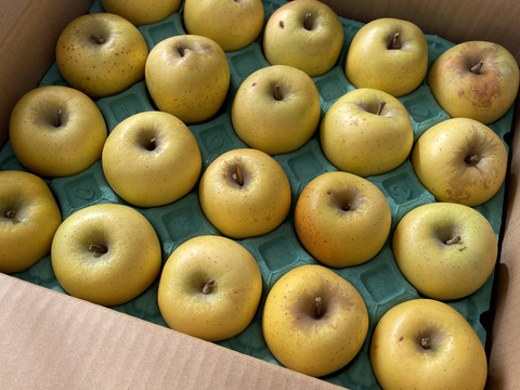 ラスト3件🏃‍♀️💨【正直人気はないですが旨いです！ 】シナノゴールド5キロ箱 訳あり品 ID21594 長野県 信州 安曇野 リンゴ 幻 幻のリンゴ 予約 希少 旬