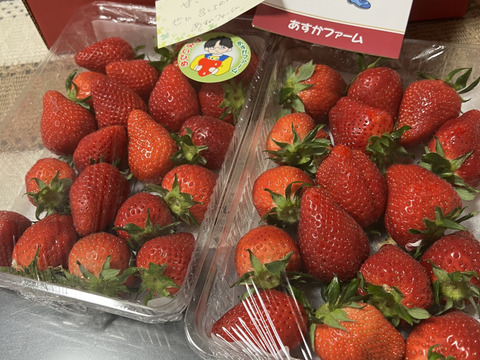 食べ納め やよいひめ こだわりの栽培で味が濃すぎるいちご 群馬県いちご品評会【金賞🥇】受賞1kg