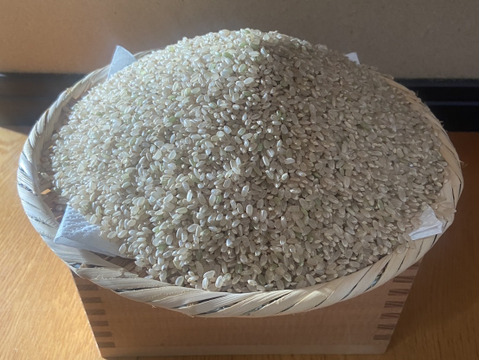 令和７年魚沼産コシヒカリ玄米５kg