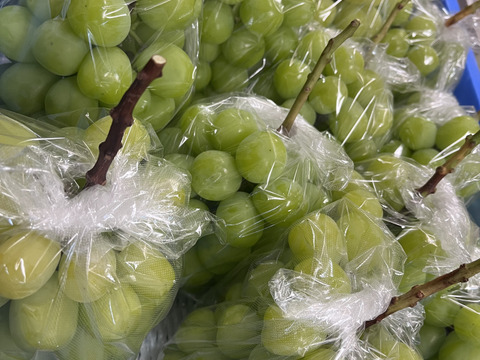 r*n様 【岡山県産】 5kg 甘い高級シャインマスカット! 特大粒.大房 7房 最高ランク【温室ハウス栽培】上品な甘さと香りの大粒大房