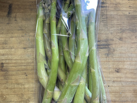 【訳あり品】アスパラ 500g 北海道産　【訳あり品】