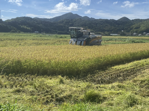 【令和7年新米】渥美半島コシヒカリ　白米9kg