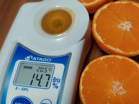 有田みかん【超絶チビチビみかん】5kg（箱込）80