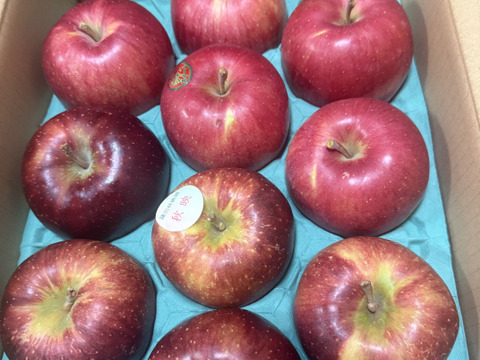秋りんご食べ比べセット【秋映・シナノスイート】　9個から12個