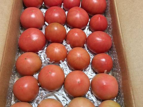 優しい甘みと旨みの桃太郎80サイズ箱