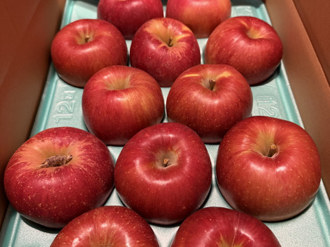 【あいかの香り】希少品種！甘くてジューシーな美味しさ♡