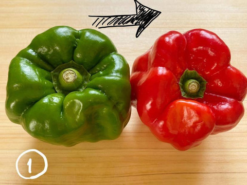 10/31締切‼︎甘くて辛い！長野・信州の伝統野菜ぼたんこしょう（１ｋｇ  約１５〜２０個）