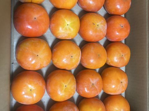 和歌山県産　富有柿（家庭用）SMサイズ18〜20個　※贈答用には向きません