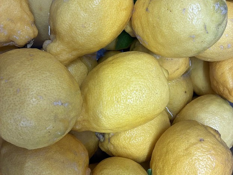 南国果実。【グアバジャム】140ｇ