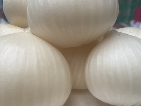 農薬化学肥料不使用 🧄】ジャンボニンニク1キロ：和歌山県産のその他