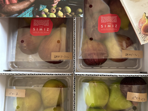 THE FIG ～皮ごと食べれるいちじく～