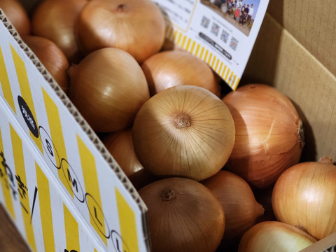 【お陰様でリピーター様多数！】淡路島玉ねぎ「中生種」　１０kg　特別栽培　ひょうご安心ブランド認証取得