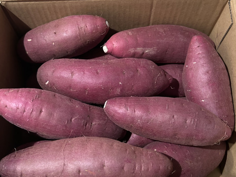 ねっとり極甘さつまいも！熟成紅はるか約2.5kg（s~2Lサイズ不揃い詰め合わせ）