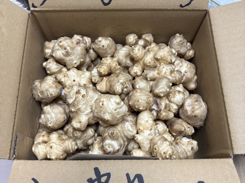 〈売り切れ御免なさい／スーパーフード／自然栽培〉 淡路島産 シャキっとホクっとパリっと 皮ごと安心♪菊芋３kg【2022年度SDGｓエバンジェリスト認定取得】