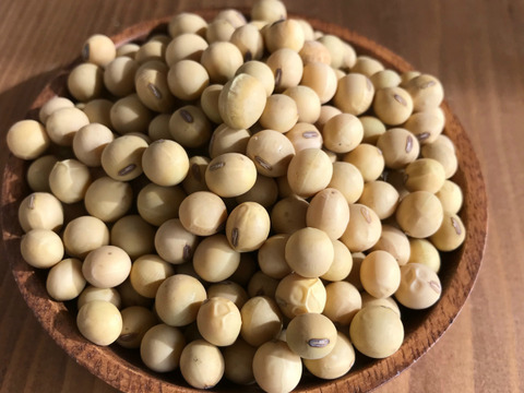 【自分でできる納豆作り】レシピ付きマコモ納豆セット（栽培期間中農薬不使用）