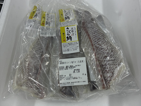 【リピーター続出】柚子香る鯛の柚子〆ロイン2尾分　合計約1320g分（冷蔵）カマ付2pc 8個入り　原魚サイズ1.5kg   皮なし骨無し加工