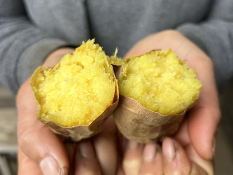 熊本県産６種のオーガニックさつまいも福箱(箱込み5㎏)【ほくほく・ねっとり食べ比べ】安納芋、べにはるか、すずほっくり、ふくむらさき、きみまろこを少量ずつ食べくらべ