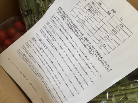 【有機JAS認証 有機野菜10品入り】京野菜から定番野菜、珍しい野菜も！京都の棚田大原で心を込めて大切に露地栽培された大地の恵みたっぷり！有機野菜が必ず10品入り！
