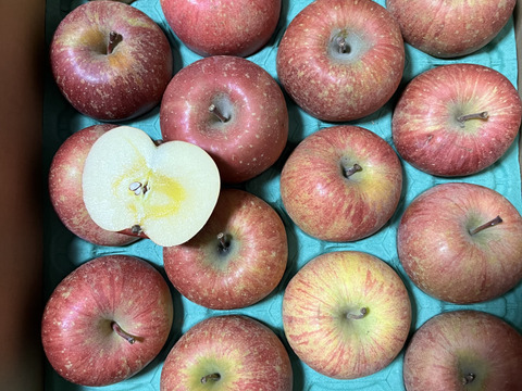 【訳あり】青森県産りんご 葉取らずふじ10kg