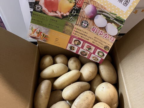 【新じゃが箱込4ｋｇ】じゃがバター最強★掘りたてメークイン　（本州の方限定）