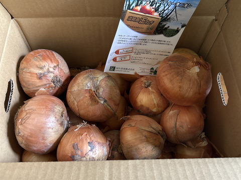 【特別価格】【訳あり】淡路島産玉ねぎ5kg