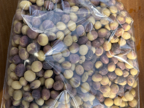 訳あり品【農薬・化学肥料不使用】MOA自然農法で育った大豆1kg