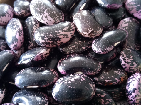 【3名限定】北海道2022年十勝産
人気の紫花豆　1kg（200g入×５袋）
煮豆や甘納豆、煮込み料理などに♡