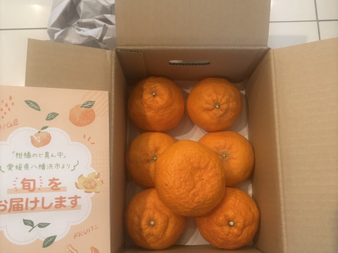 【家庭用】不知火 2kg 糖と酸のせめぎ合い♡スッキリ系ジューシー柑橘♫愛媛みかん！！デコ！！
