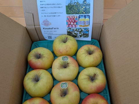 数量限定！甘さ抜群！名月🍏