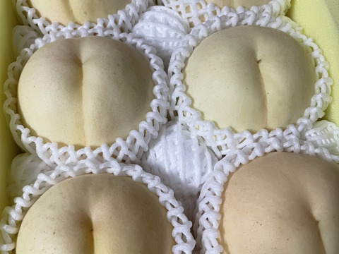 【2024年シーズン最後の白桃！】ご家庭用★超希少晩成品種！岡山の白桃・CX（シーエックス）・2㎏