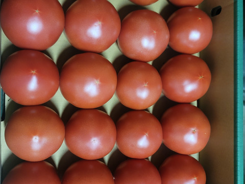 岐阜県産　訳あり８kg　飛騨高山　オーガニックトマト