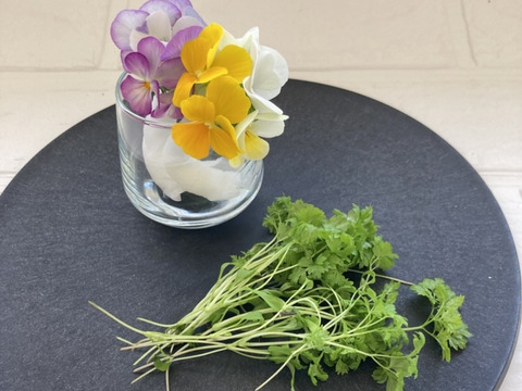 数量限定‼　チャービル2ｇ+エディブルフラワーMIX10輪 セット