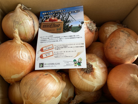 【特別価格】【訳あり】淡路島産玉ねぎ5kg