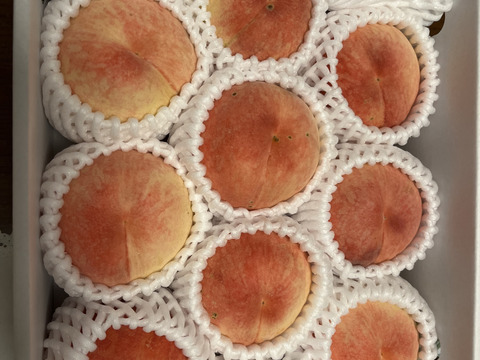 【家庭用】和歌山感動完熟桃【糖度13度以上保証】約1.8kg6-9玉