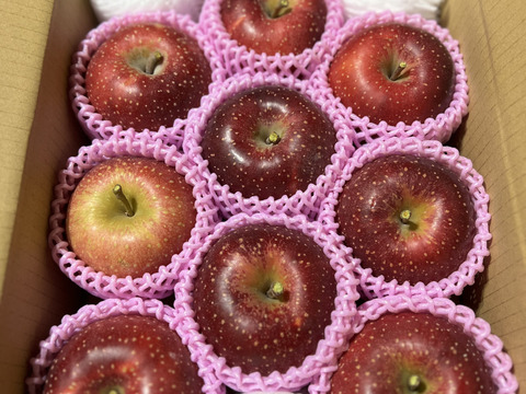 ⛄️雪をまとったりんご『千雪』🍎
一度食べたらクセになる⁉️しっかりした甘味と豊かな香り🌟

A品、B品ミックス(贈答用、家庭用混ざります)