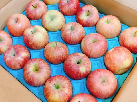 蜜入りもあり　葉取らずサンフジご家庭用約５キロ