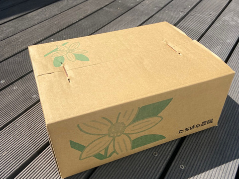 完熟★樹上熟成不知火　愛媛産　家庭用3キロ