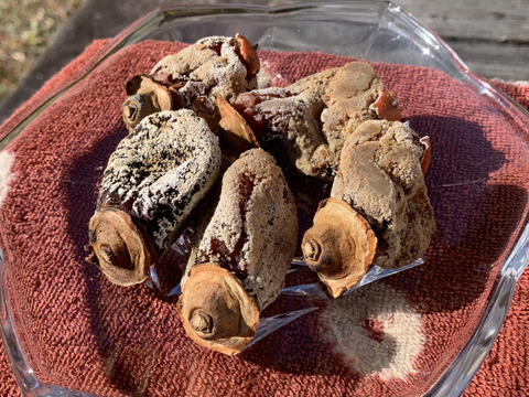 腸活に！おなかも喜ぶ！あま〜い干し柿200g〈農薬・化学肥料不使用、無添加〉