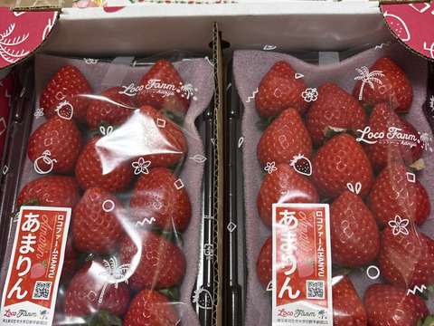 完熟プレミアムいちご】あまりん250g×2パックーDXパックー：埼玉