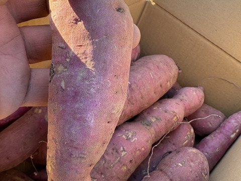 素材そのまんま！罪悪感無し！芋チップス【べにはるか】止まらない美味しさです。　８０g×4袋