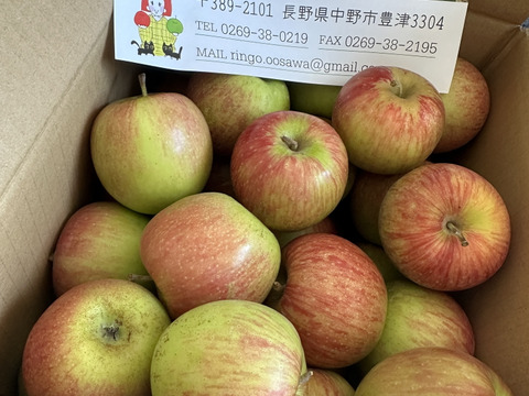 信州りんごプライスダウン🍎4キロ(ふじ小玉極小玉)