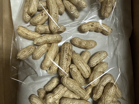 乾燥生落花生（油豆）在来種　1kg　【おまけで試し焼き用100g増量❗】