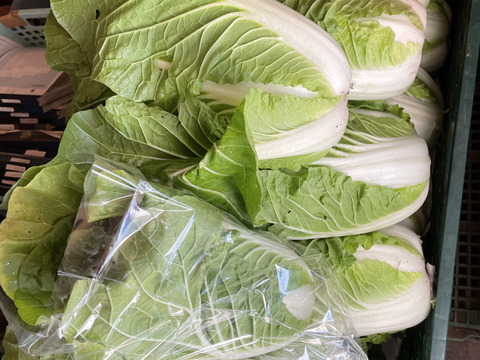 富士山麓！自然栽培の冬野菜たち10品+白米2ｋｇ