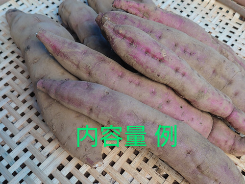 【農薬化学肥料不使用】甘くてホクホク！ベニアズマ さつまいも 1ヶ月熟成 箱込み2kg