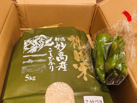 令和7年産 新潟県産 棚田米 コシヒカリ 5kg 玄米 (53)：新潟県産のお米