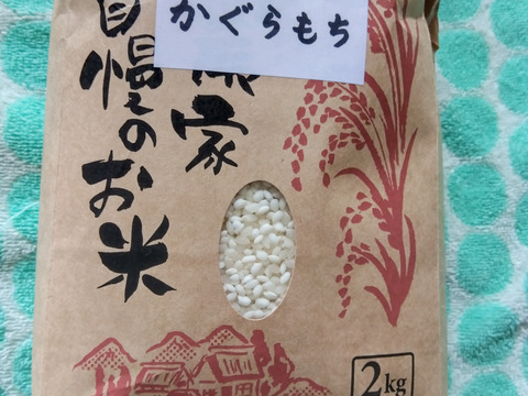 長野県産2025年度もち米　かぐらもち