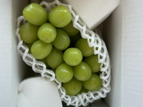 わたしにご褒美！シャインマスカット（ご自分用700g）