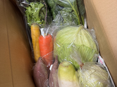 Mサイズ ＊旬野菜セット(約8~9品)【農薬：栽培期間中不使用】